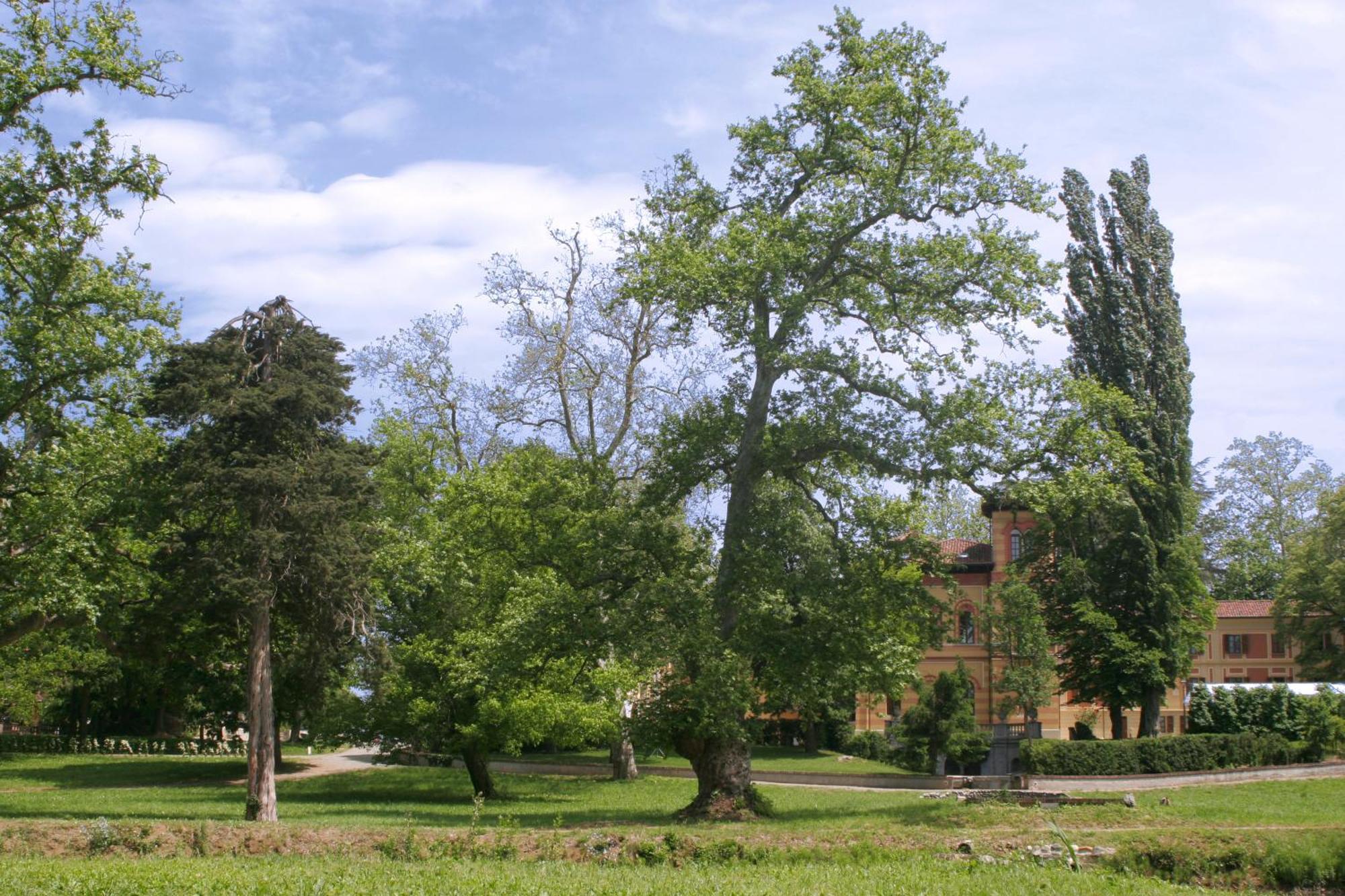 Villa Scati Bed And Breakfast Melazzo Exterior foto